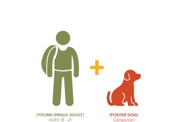 One young adult and one rescue dog